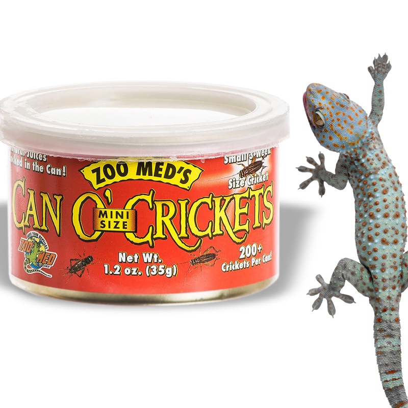 Zoomed Can O' Crickets Small - canned food with small crickets